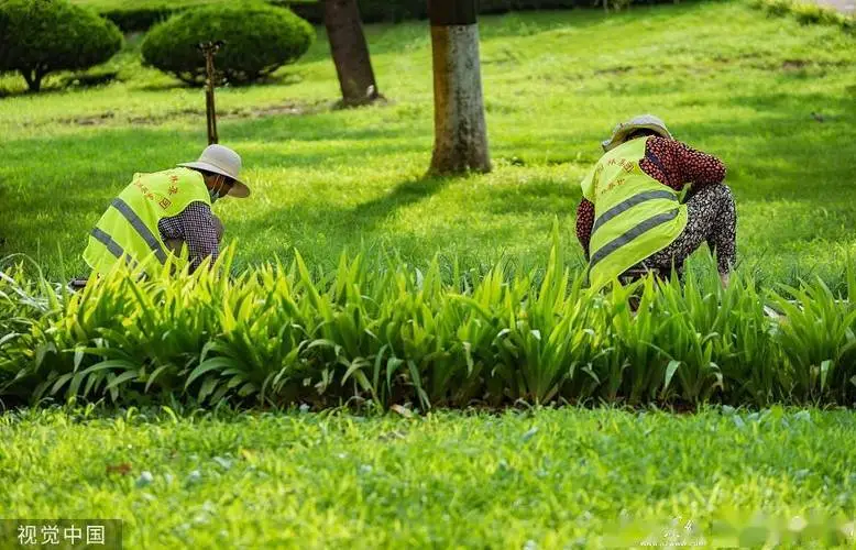 昆山园林绿化工程施工规范