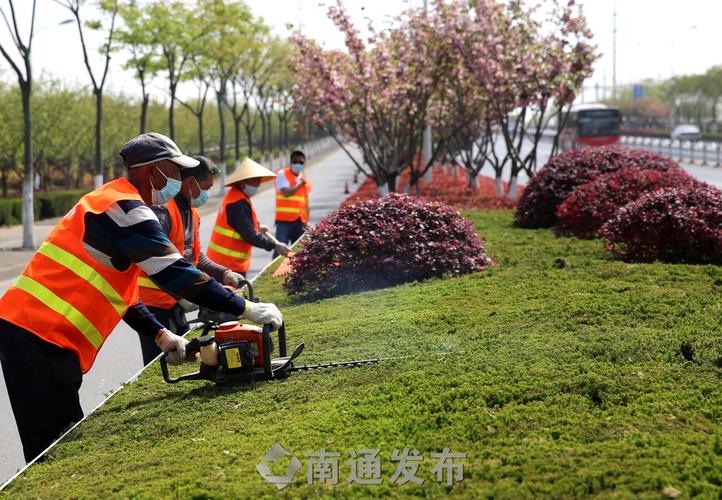 明光城市道路绿化规范2022