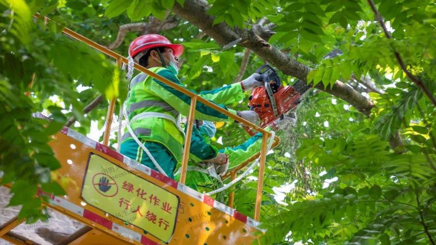 室外配套绿化工程竣工报告