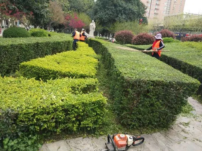 现代极简园林景观设计风格