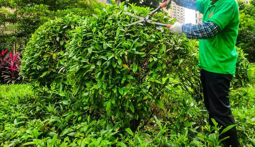 超大乡村园林景观设计案例